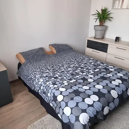 Loft Risnov